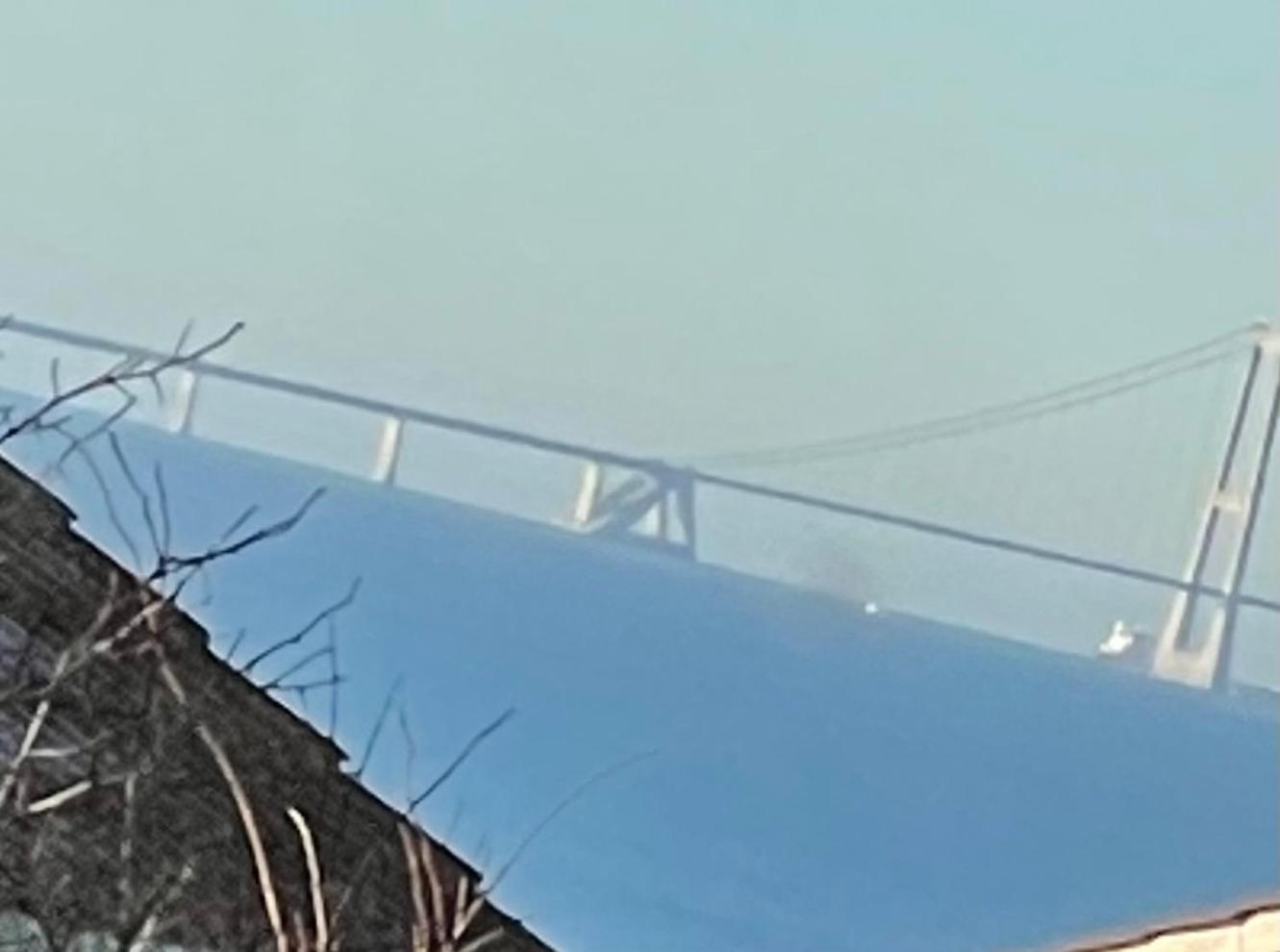 Norsk Bjaelkehytte Med Fibernet